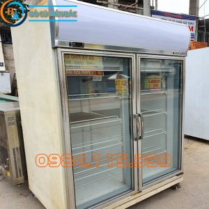 Tủ Đông Đứng 2 Cánh Berjaya 2D/DF-SG-EV 1000 Lít 01