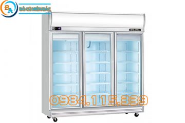 Tủ Đông Đứng 3 Cánh Kính Berjaya 3D/DF-SG-EV Cũ