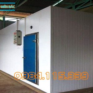 Kho Lạnh Bảo Quản Piza-2