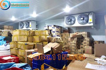 Kho Lạnh Bảo Quản Thực Phẩm Ngắn Ngày-1
